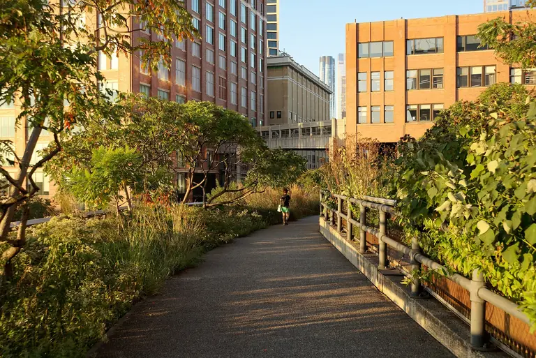 Parque High Line de Nueva York