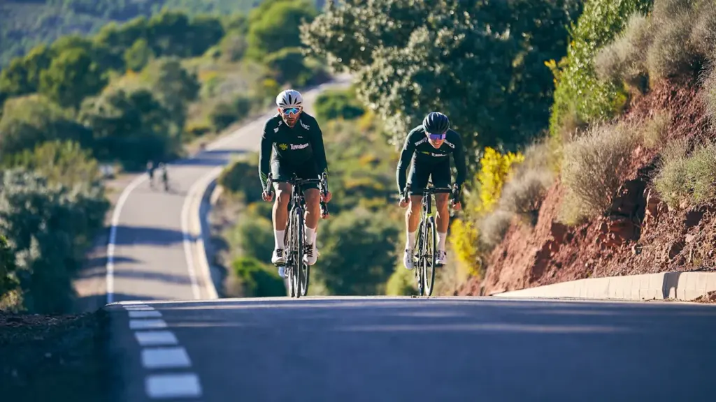 Dos ciclistas profesionales subiendo una carretera de montaña durante una etapa de competición.