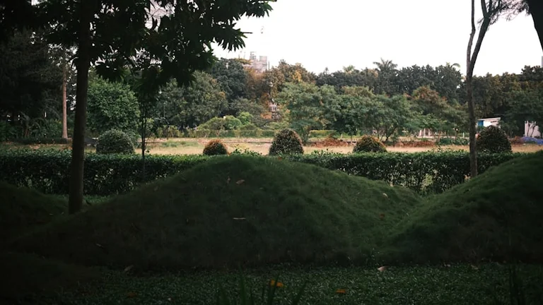 Lucena renueva el cuidado de sus parques y jardines desde octubre