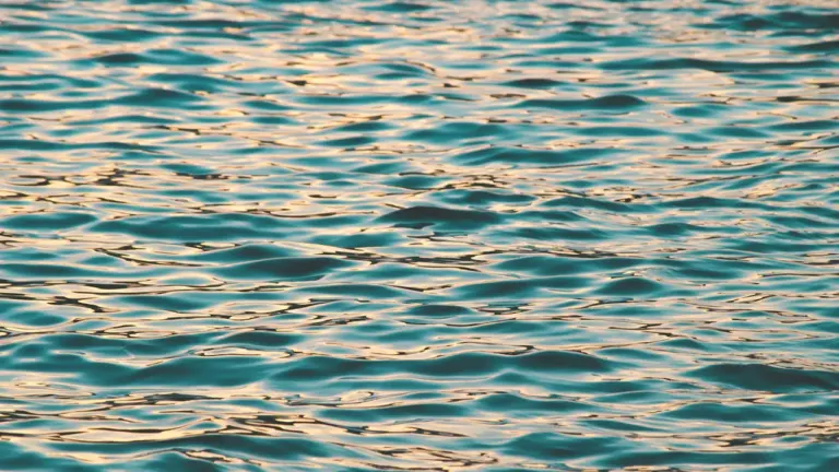 Soñar con agua: calma, estrés y cambios emocionales