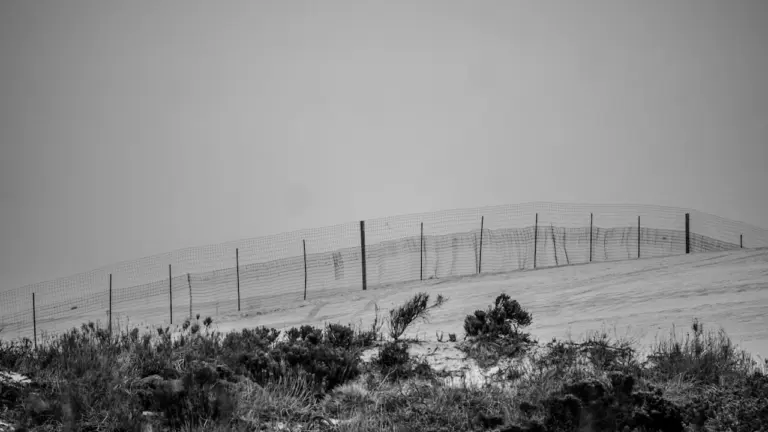 Cerca metálica en un paisaje desértico representando la seguridad fronteriza en Ceuta.