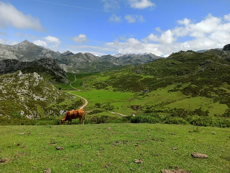 Domingo estable en los Picos de Europa: tiempo y precauciones