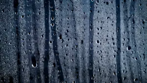 Humedad en otoño: cómo distinguir condensación de filtraciones