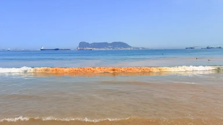 Manchas amarillas en Algeciras: así afectan al baño